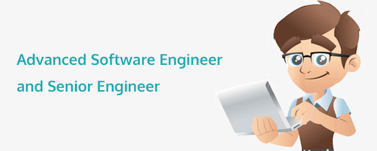 Career Stages in Programming: The Roles of Advanced Software Engineer and Senior Engineer