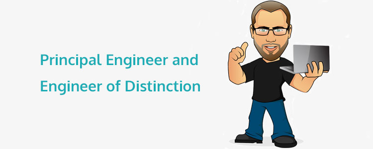 Career Stages in Programming: The Roles of Principal Engineer and Engineer of Distinction 