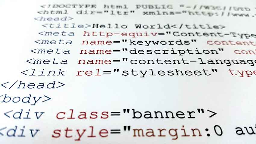 HTML is the backbone and the most rudimentary aspect of a website, and every developer should be fluent in this